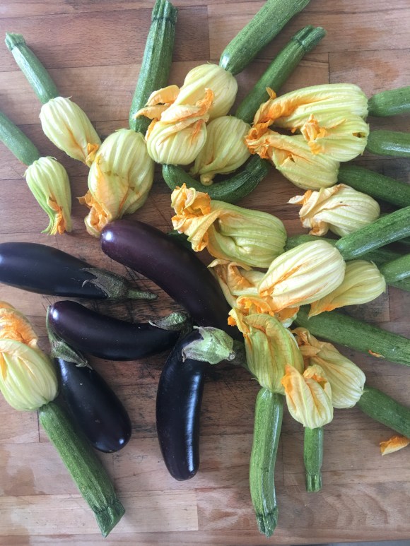 79D7E7D6-CFB8-45A3-A79F-29A900662DA8