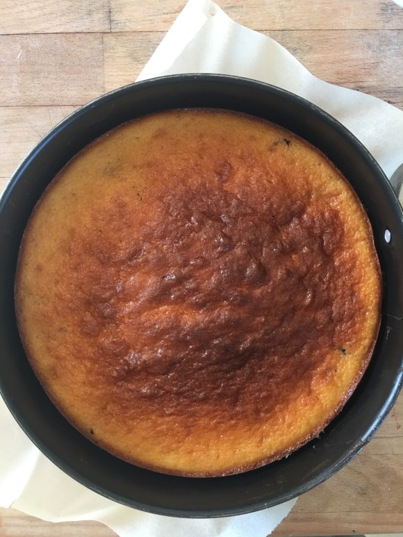 1C96897B-D98D-482F-9B01-42DC7AA6809D