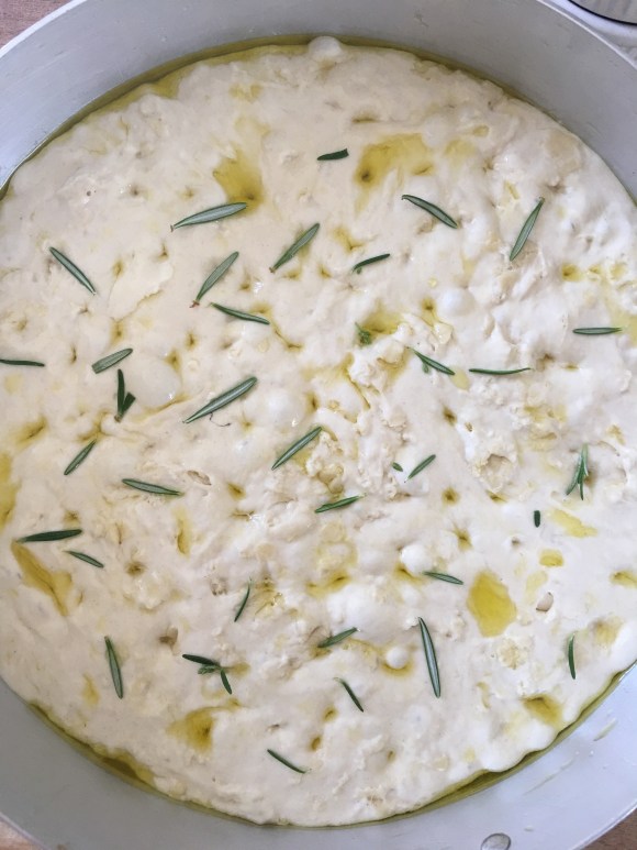 498E04DB-58E4-4BBA-BA25-F535B6DBF8AD