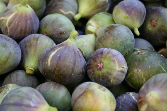 figs-1122197_1920