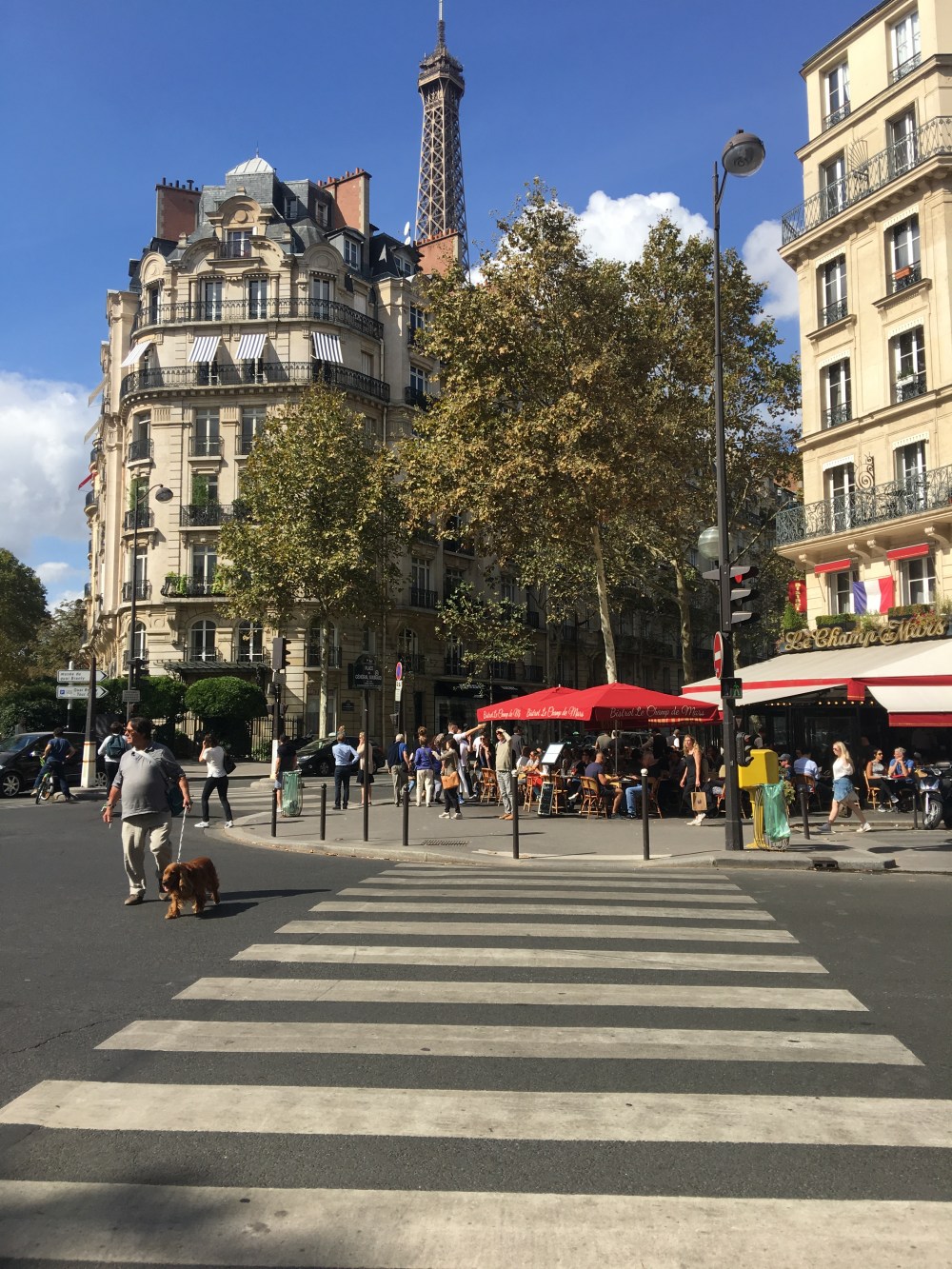 7DE17313-6430-44CB-9A4A-8FA996A5F6A2